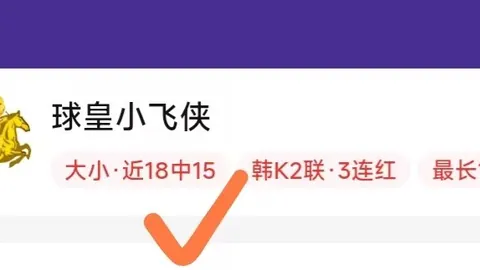 金年会体育，体育活动， 105646 71